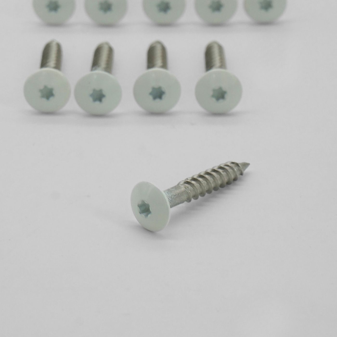 Fassadenschroeven voor HPL platen (10 stuks) - Afbeelding 3